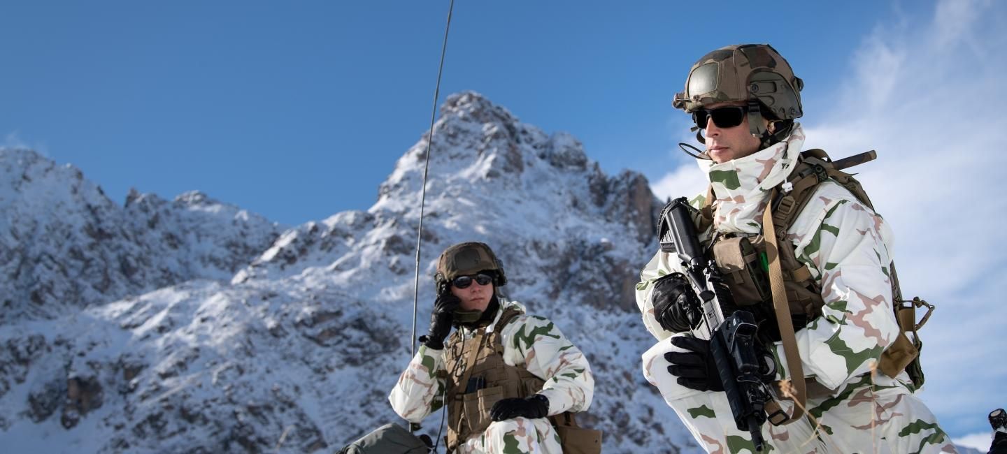 Régiments de l'armée de Terre - 13e bataillon de chasseurs alpins