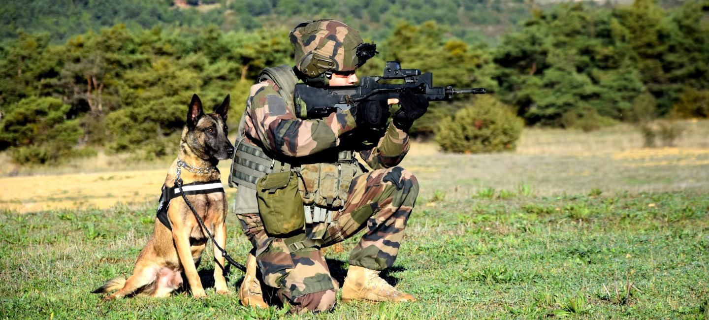 Régiments de l'armée de Terre - 1er régiment de chasseurs d’Afrique