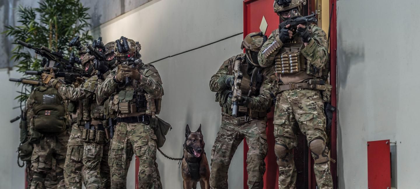 Régiments de l'armée de Terre - 1er régiment de parachutistes d'infanterie de marine