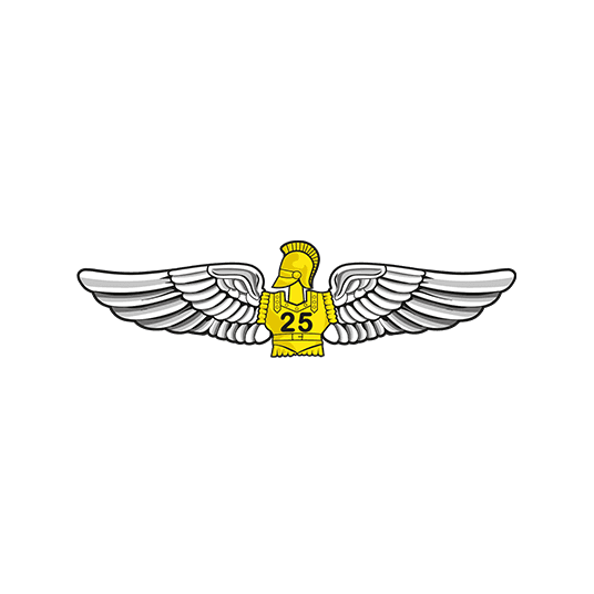 Blason régiments de l'armée de Terre - 25e régiment du génie de l'air