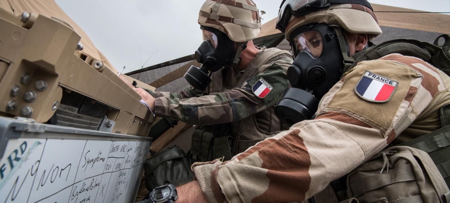 Régiments de l'armée de Terre - 2E RÉGIMENT DE DRAGONS