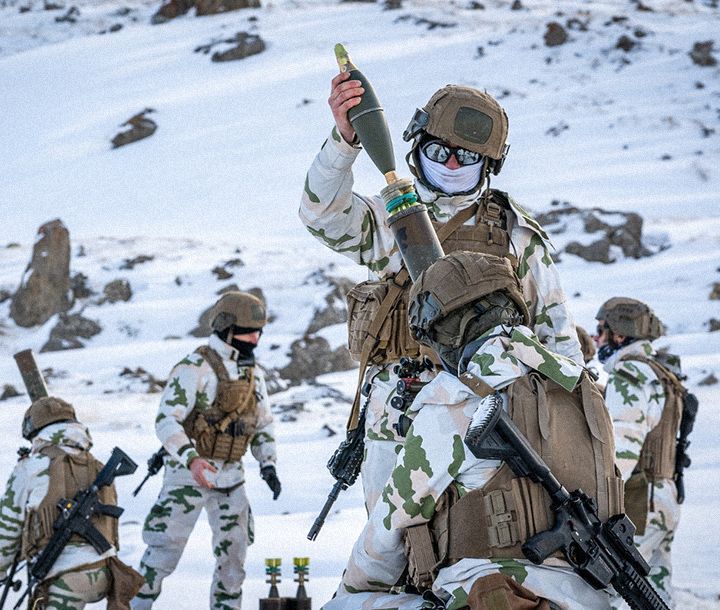 Métier - Spécialiste interopérabilité des systèmes d'artillerie numérisés