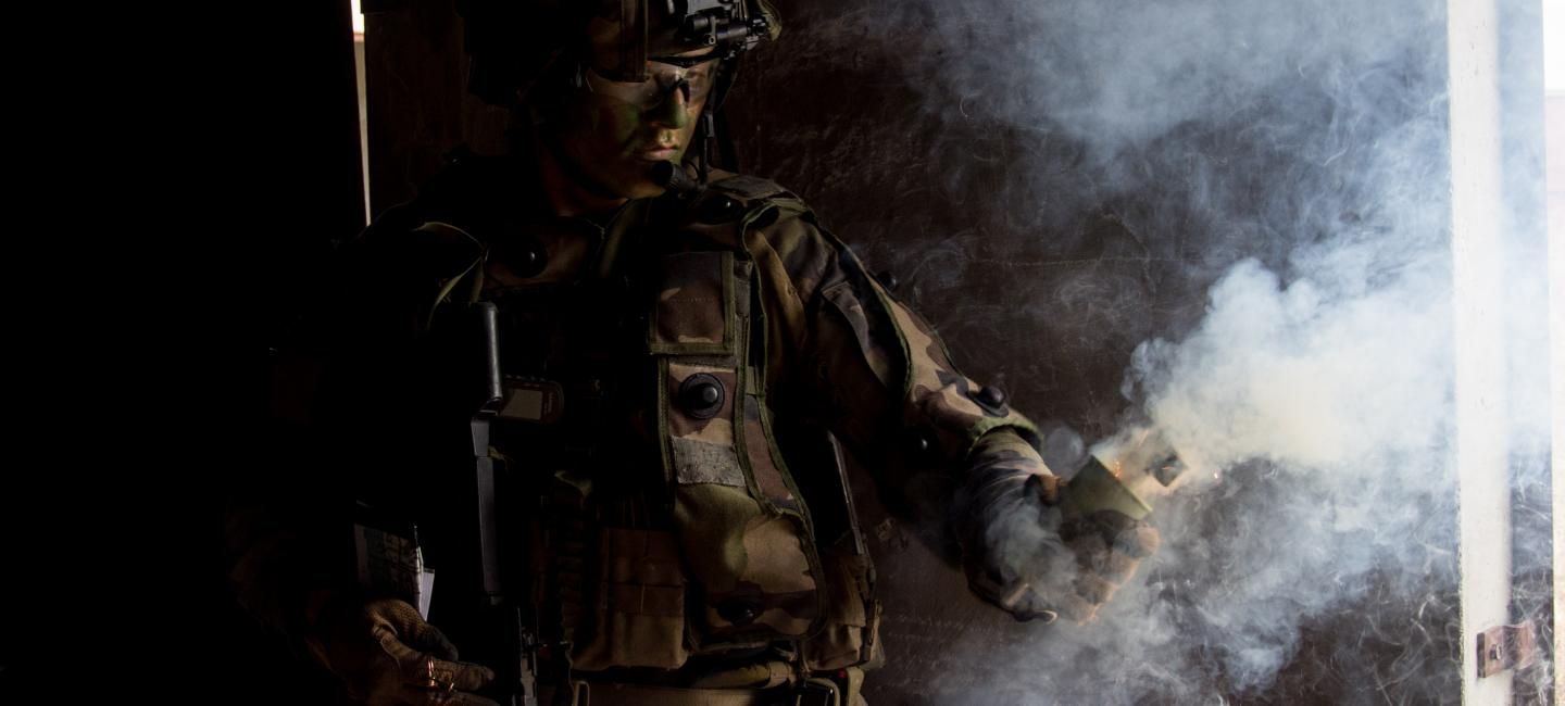 Régiments de l'armée de Terre - 7e bataillon de chasseurs alpins