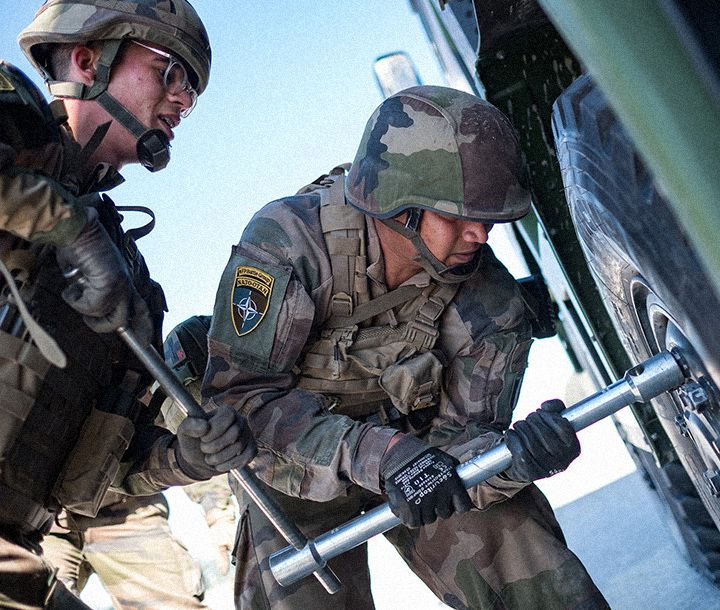 armée de Terre - parcours professionnel