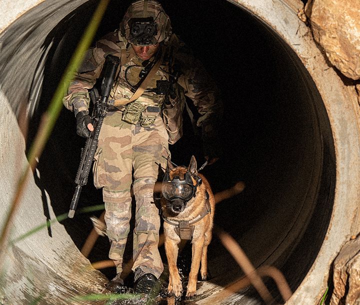 Spécialité armée de Terre : Chef de groupe maître de chien domaine Infanterie