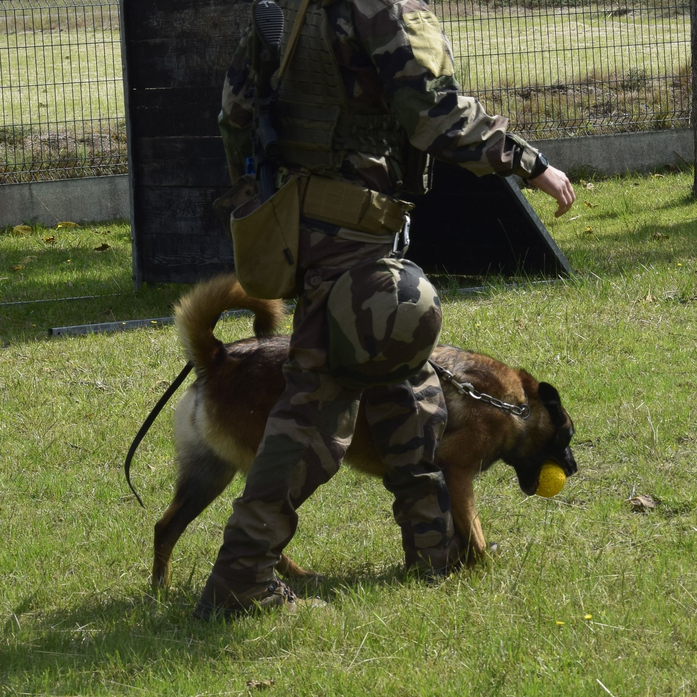 Profil de l'ambassadeur - Mehdi
