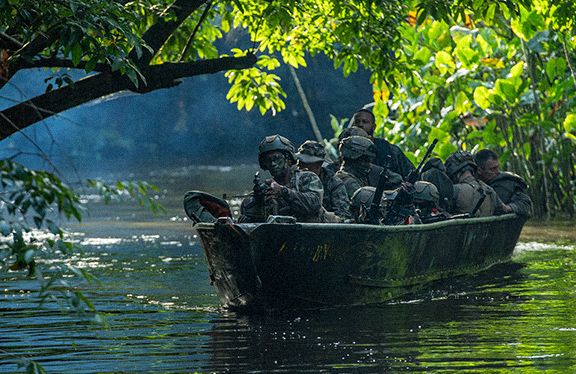 Régiments de l'armée de Terre - Harpie Guyane