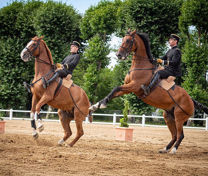 Spécialité armée de Terre : Moniteur d’équitation domaine Sport