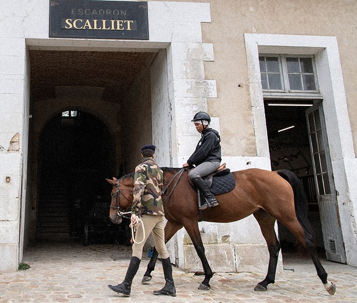 Spécialité armée de Terre : Palefrenier-soigneur domaine Sport